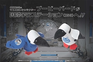 CHUMSのマスコットキャラクター「ブービーバード」が国際宇宙ステーション(ISS)へ!!